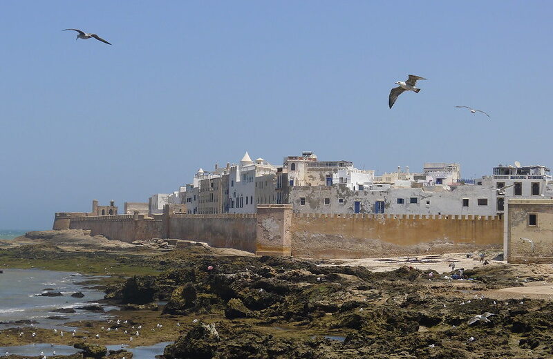 Excursión de un día a Essaouira desde Marrakech
